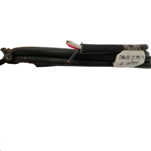 Delco 2 Meters Royal Cord 0.75mm 3 Core AWG 18/3C Power Cable