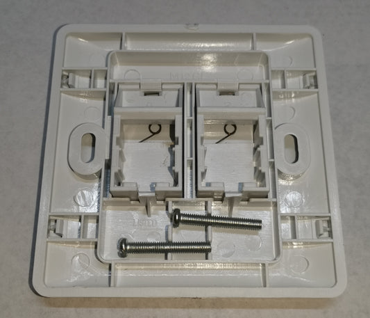 Electx Electrical Supply industrial 2 port wall plate with mounting screws for electrical outlets