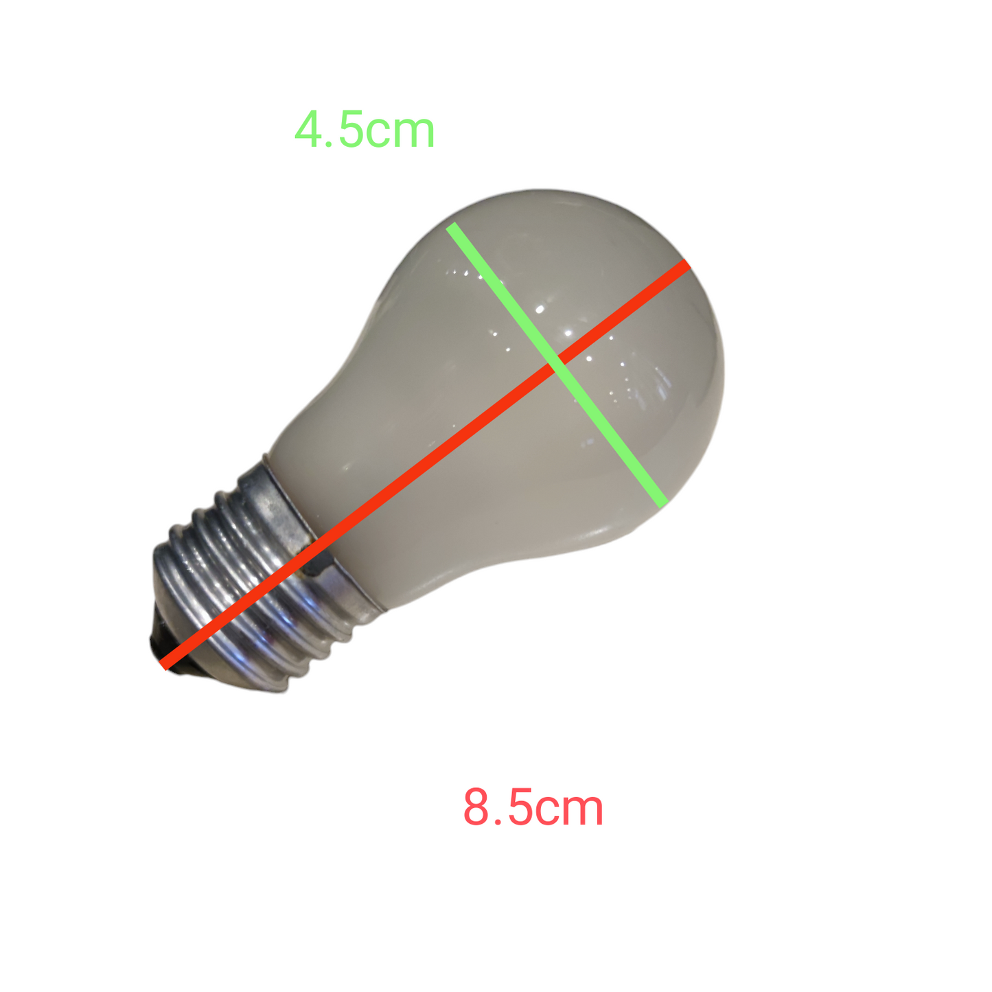 Irisram 25W 12V Fishing Bulb incandescent light bulb measuring 8.5 cm by 4.5 cm