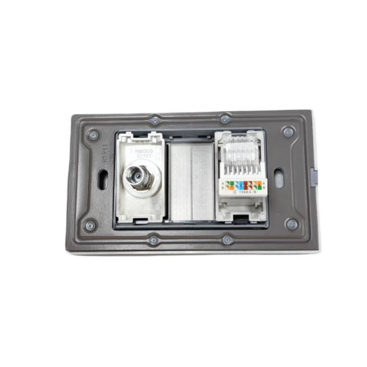 Royu LAN Outlet and Cable TV Socket power point with metal frame and connectors
