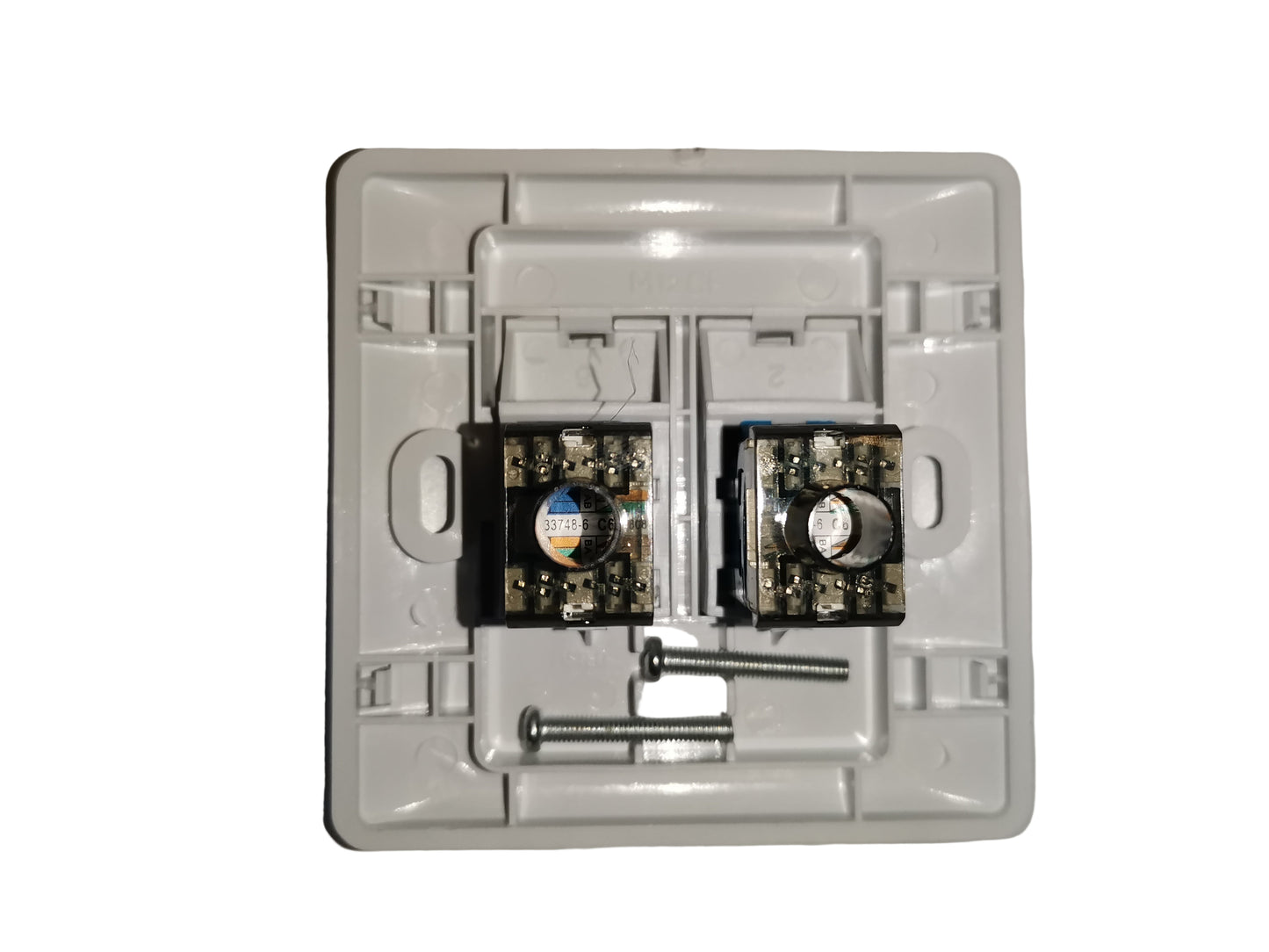 Electx Electrical Supply CAT6 2 gang LAN outlet white wall plate with two exposed keystone modules and screws