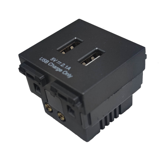 Omni USB wall outlet 2 gang with dual USB ports for convenient charging options