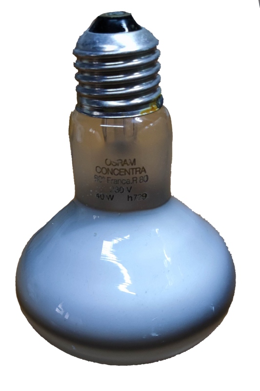 Electx Electrical Supply 40W Spot Light R80 E27 220V incandescent bulb with silver screw base