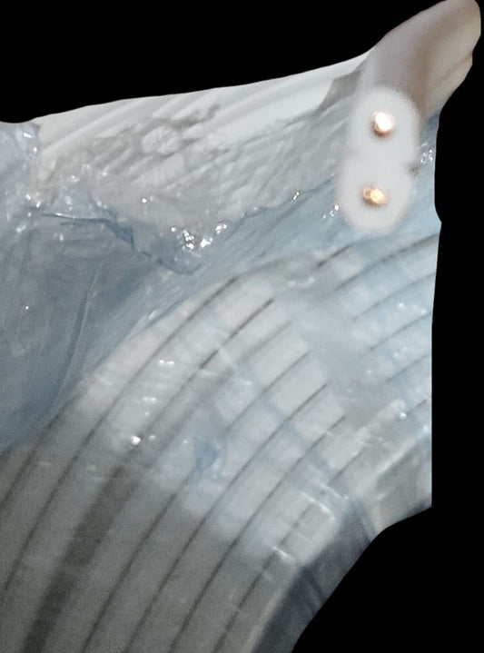 Close up of white Philflex flat cord wire AWG 12 - 2C showing cut end two copper conductors and ribbed jacket