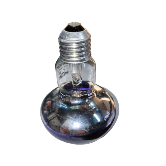 Philips 60W violet spotlight bulb incandescent light with reflective base