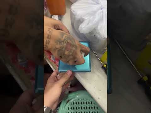 Panasonic Range Plug 30A 250V 2P+E,