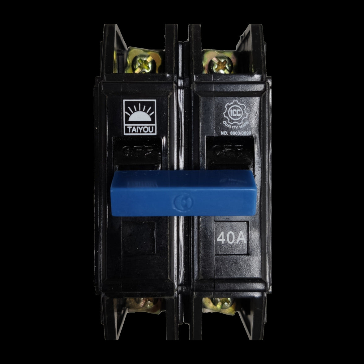 Taiyou 40A 2 pole circuit breaker with black body and blue switch for electrical safety