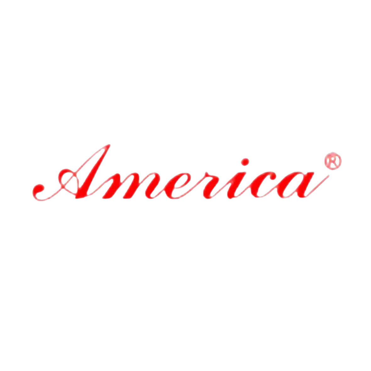 Logo of America brand electrical panel boards products in red script font on white background
