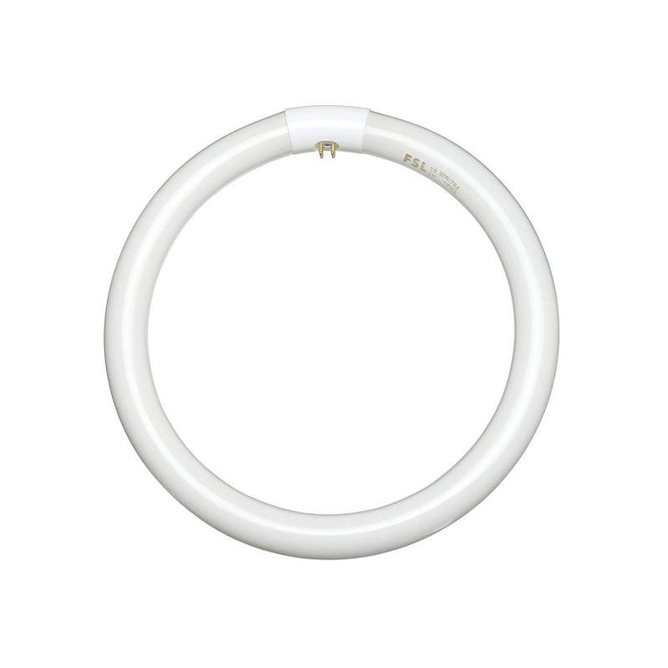 White circular fluorescent lamp providing soft and even light for energy-efficient lighting solutions