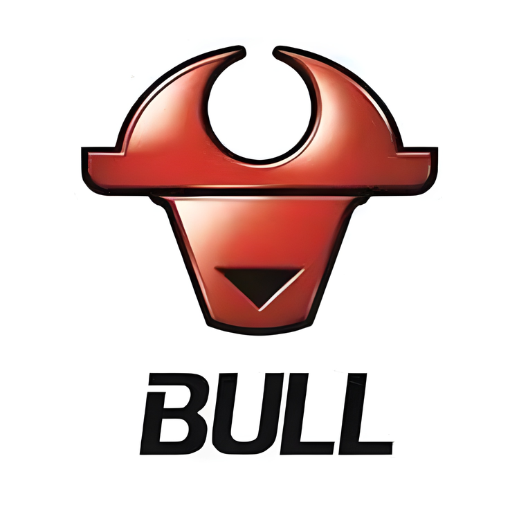 Bull Electric sockets logo with a red bull head symbol and bold black text on white background