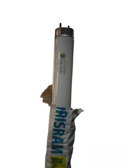 Irisram 36W T-8 Ultra Violet Lamp Black Light White Fluorescent Tube  Insect Killer tube