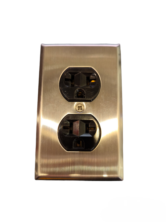 Eagle 2 Gang T-Slot Outlet with Ground 16A in brushed metal finish power socket