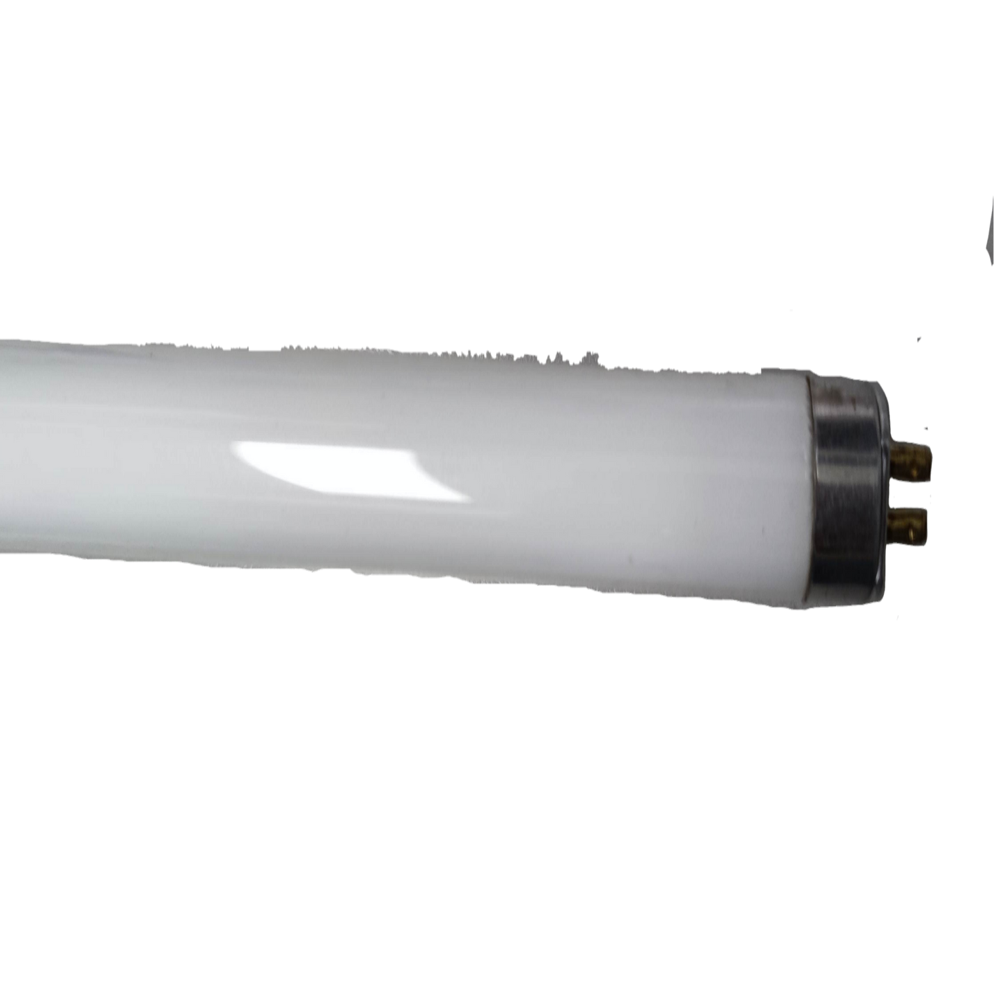 Tokina 21W T5 fluorescent daylight bulb for energy-efficient lighting solutions