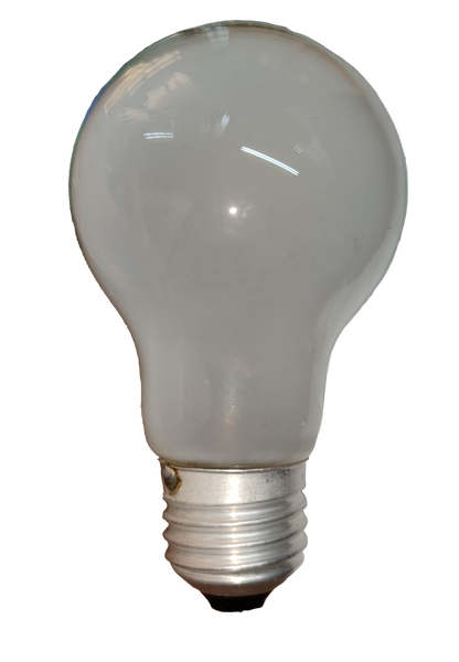 Firefly 25W Incandescent Bulb Warm White 220V E27 Frosted Standard Lamp FINS25/F
