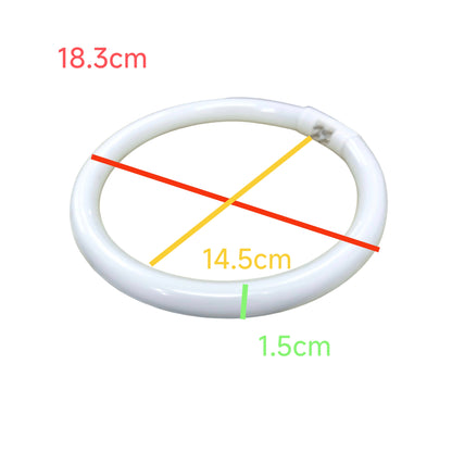 22W T5 Circular Lamp Fluorescent Tube 6500K Daylight G10q Socket with dimensions for easy installation