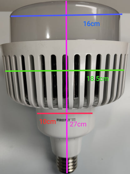 Firefly 100W LED High Power Lamp E40 220V AC 50/60HZ, 100W LED Bulb