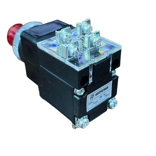 Auspicious 25mm illuminated push button switch with durable construction for easy operation.
