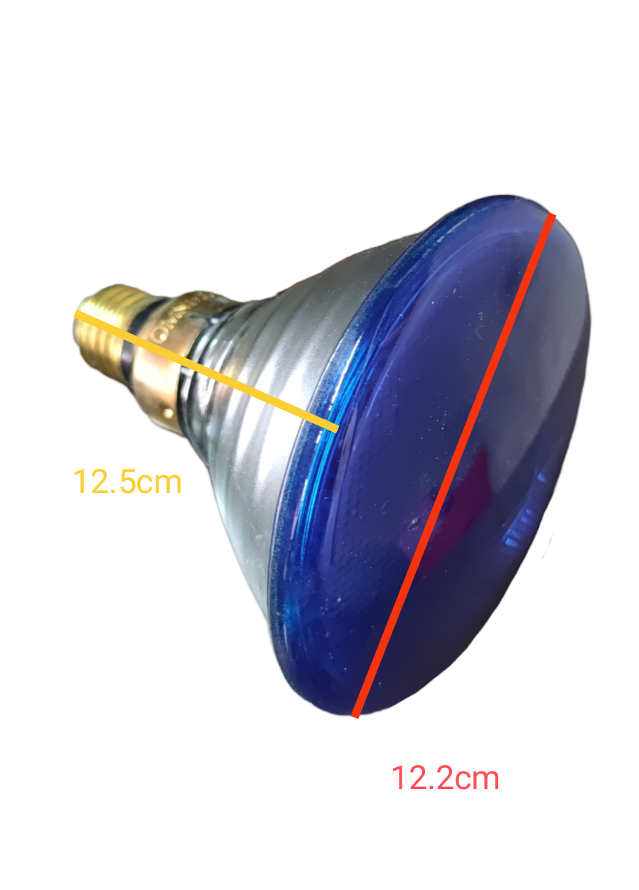 Philips PAR 38 80W Flood E27 220V