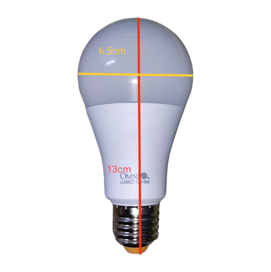 Omni 12W LED Bulb E27 220V A65 Available Warm White