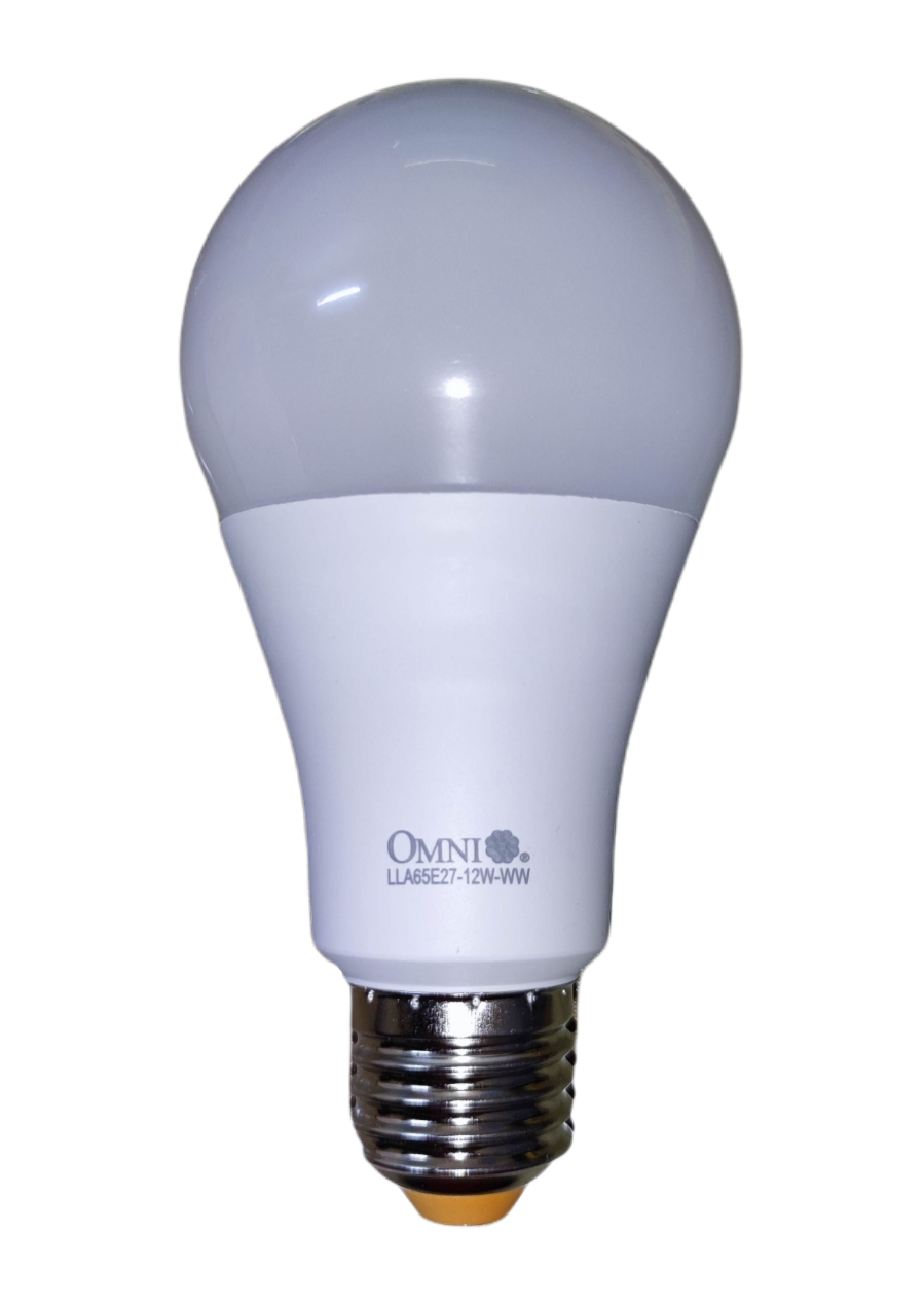 Omni 12W LED Bulb E27 220V A65  Daylight