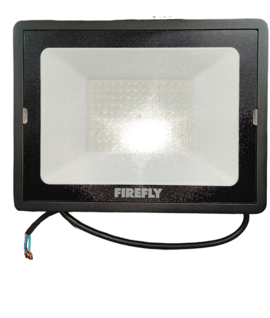 Firefly 100W LED Flood Light Daylight 220V Terra EFL88100DL
