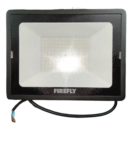 Firefly 100W LED Flood Light Daylight 220V Terra EFL88100DL