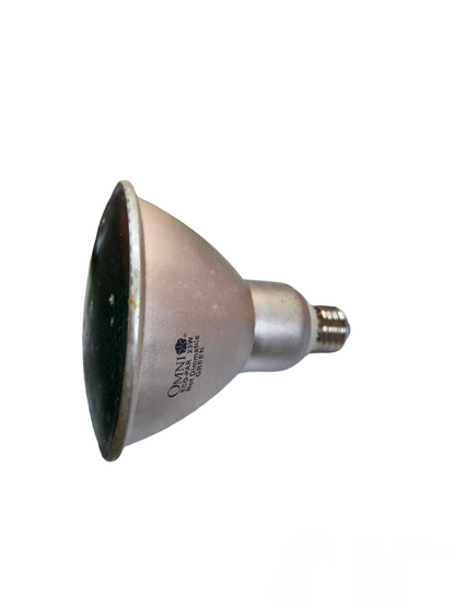 Omni Par 38 23W CFL E27 220V