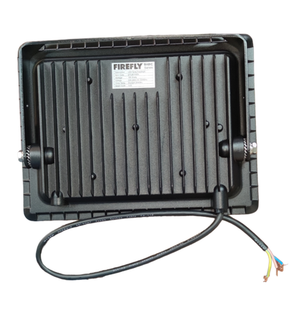 Firefly 100W LED Flood Light Daylight 220V Terra EFL88100DL