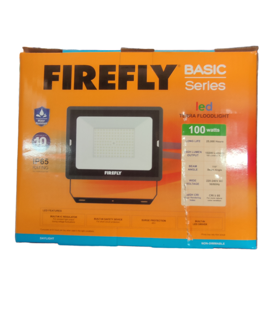 Firefly 100W LED Flood Light Daylight 220V Terra EFL88100DL