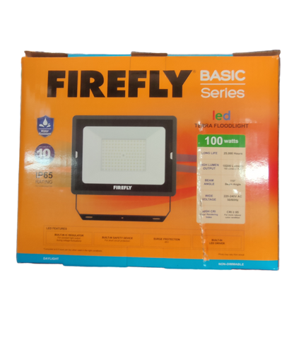 Firefly 100W LED Flood Light Daylight 220V Terra EFL88100DL