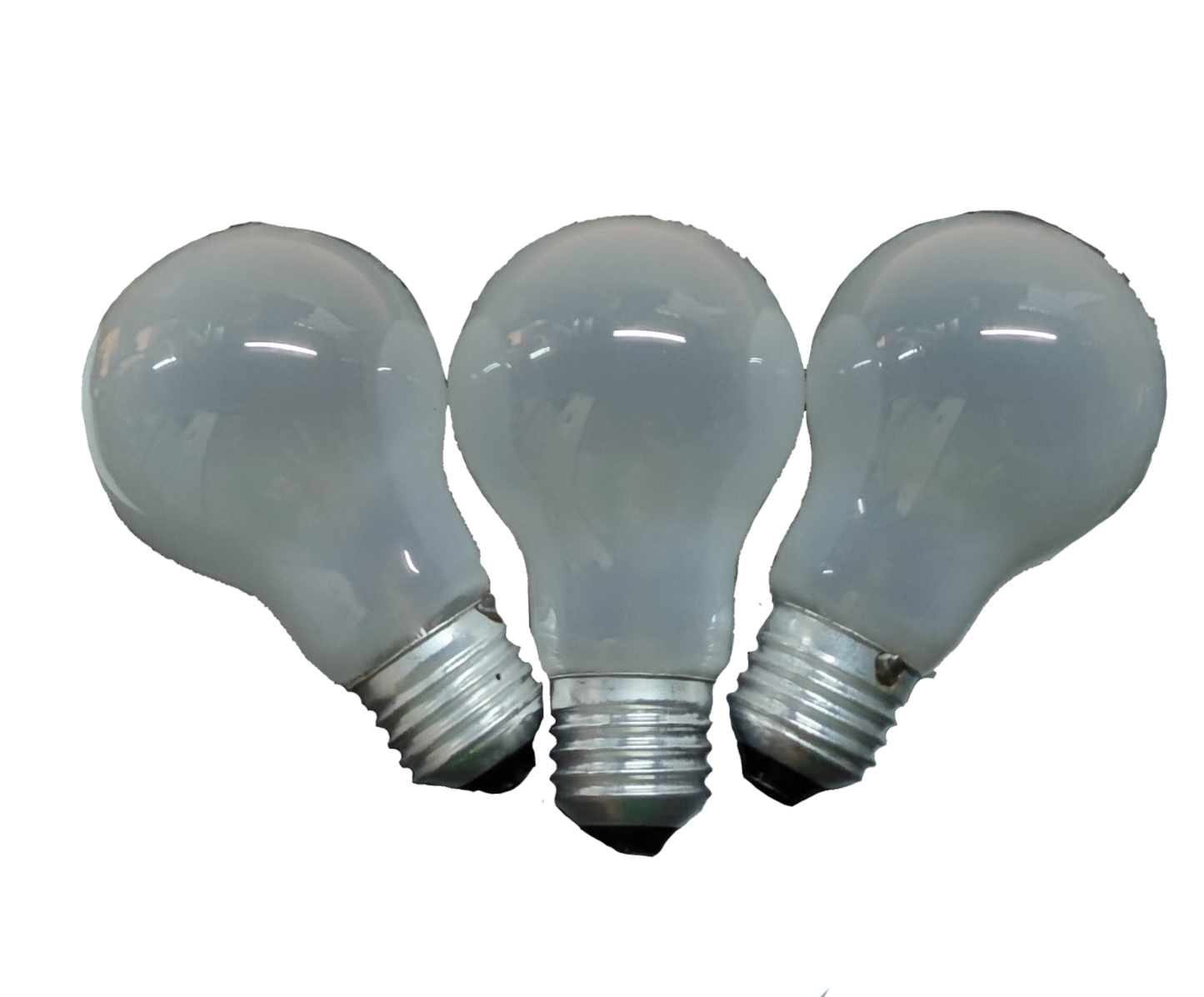Firefly 100W Incandescent Bulb 220V E27 Frosted FINS100/F (3PCS)