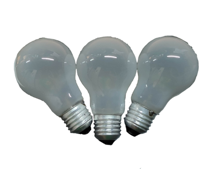 Firefly 100W Incandescent Bulb 220V E27 Frosted FINS100/F (3PCS)