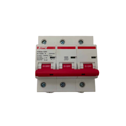Himel 100A 3Pole 10KAIC 220V Miniature Circuit Breaker MCB HDB3w125H3C100