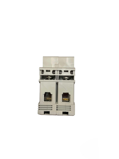 Chint 63A 2Pole 6KAIC 220V with indicator Miniature Circuit Breaker NB1-63 2P C63 6KADB