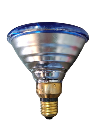 Philips PAR 38 80W Flood E27 220V