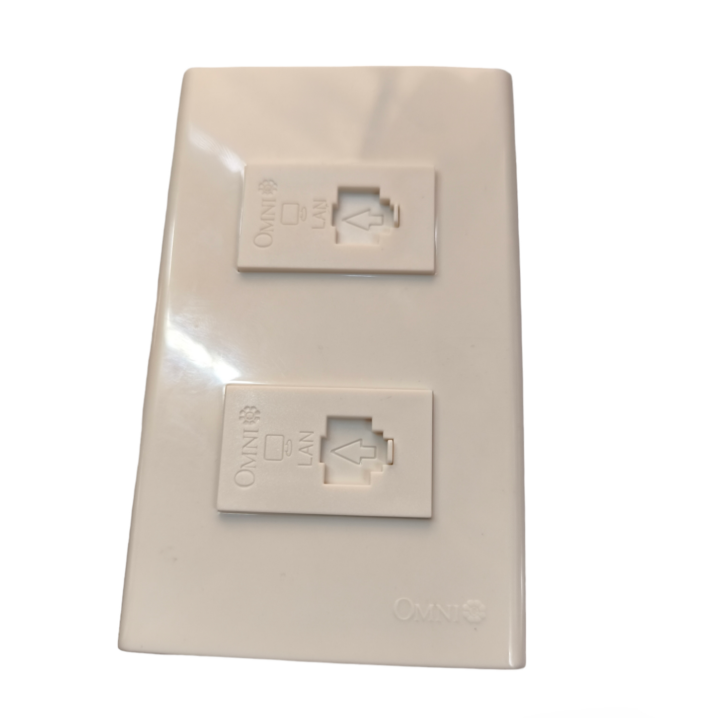 Omni 2 Gang LAN Outlet with Plate WWP-112+(WWC-303x2)