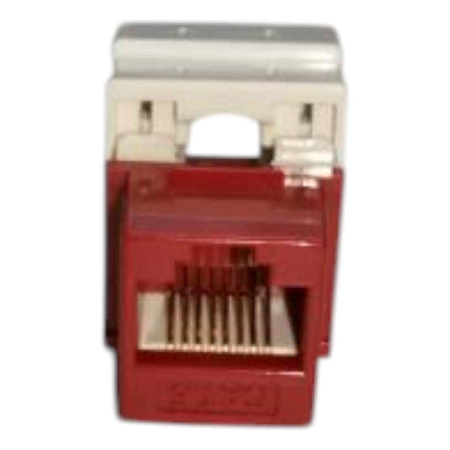 Belkin Cat6 Network Outlet Lan Outlet Device I/O Ethernet Port Keystone Jack Red