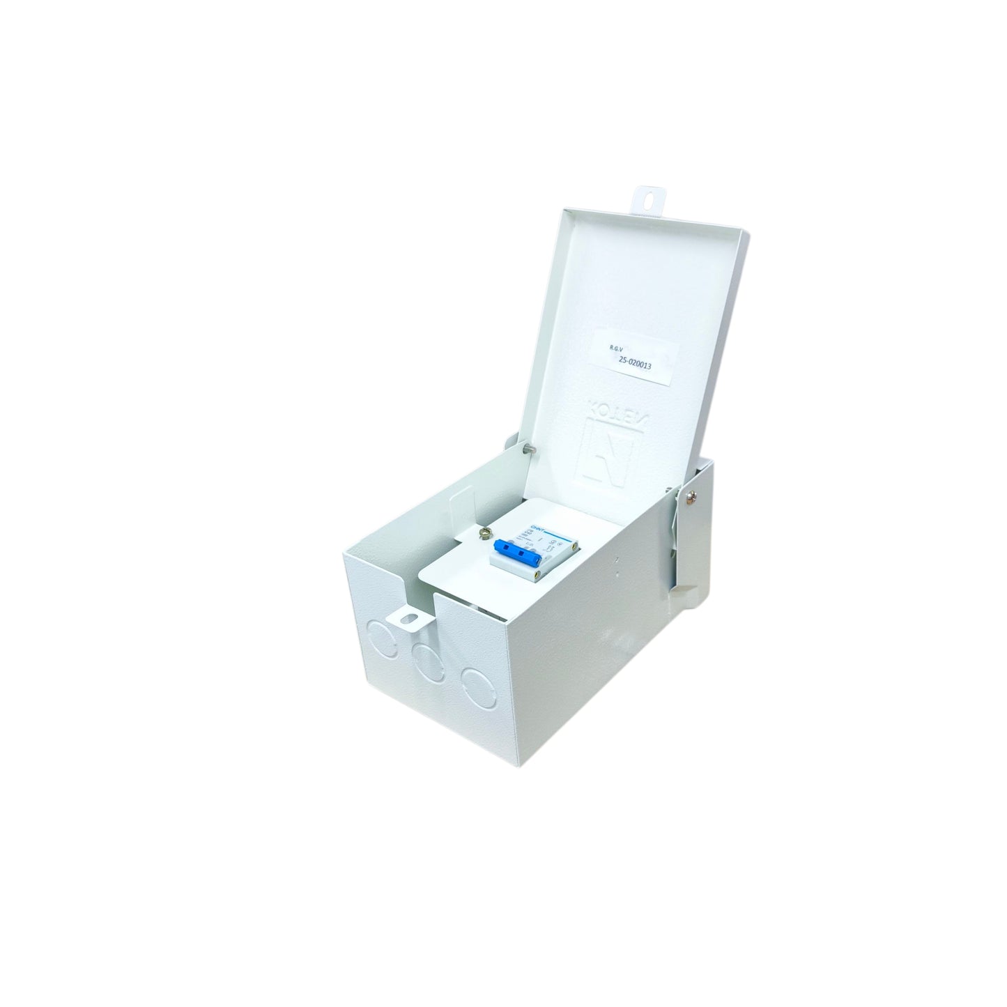 Chint 25A 2P 4.5KAIC 220V Miniature Circuit Breaker with Nema 3r Enclosure Outdoor EB2PC254.5KA