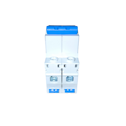Chint 63A 2P Miniature Circuit Breaker 6KAIC 220V NXB-63 C63 Electx Electrical Supply