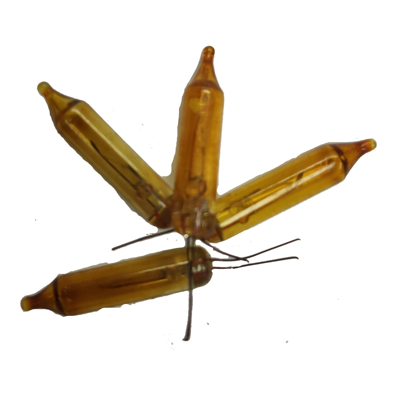 Transparent amber-colored butterfly with metallic sheen on a white  Christmas Light Bulbs 25pcs of Bulbs per pack + 10pcs of bulbs Free for Warranty Electx Electrical Supply 2background