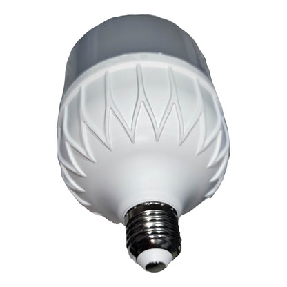 Ecolum 30W LED Bulb Capsule E27 220V 6500K Daylight CHC2030DL