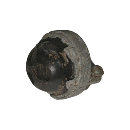 Rust-colored metal object on a white background