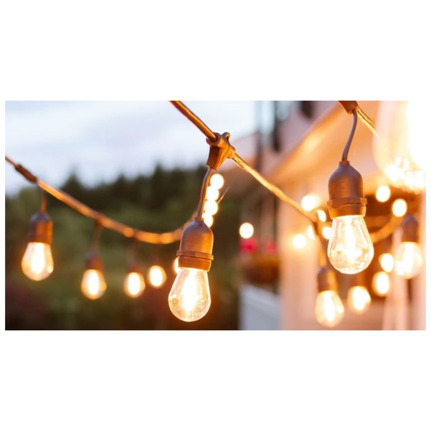 Firefly String Lights E27 1W LED Warm White 30 Feet Weather Proof FELH310 Outdoor 10 Sockets