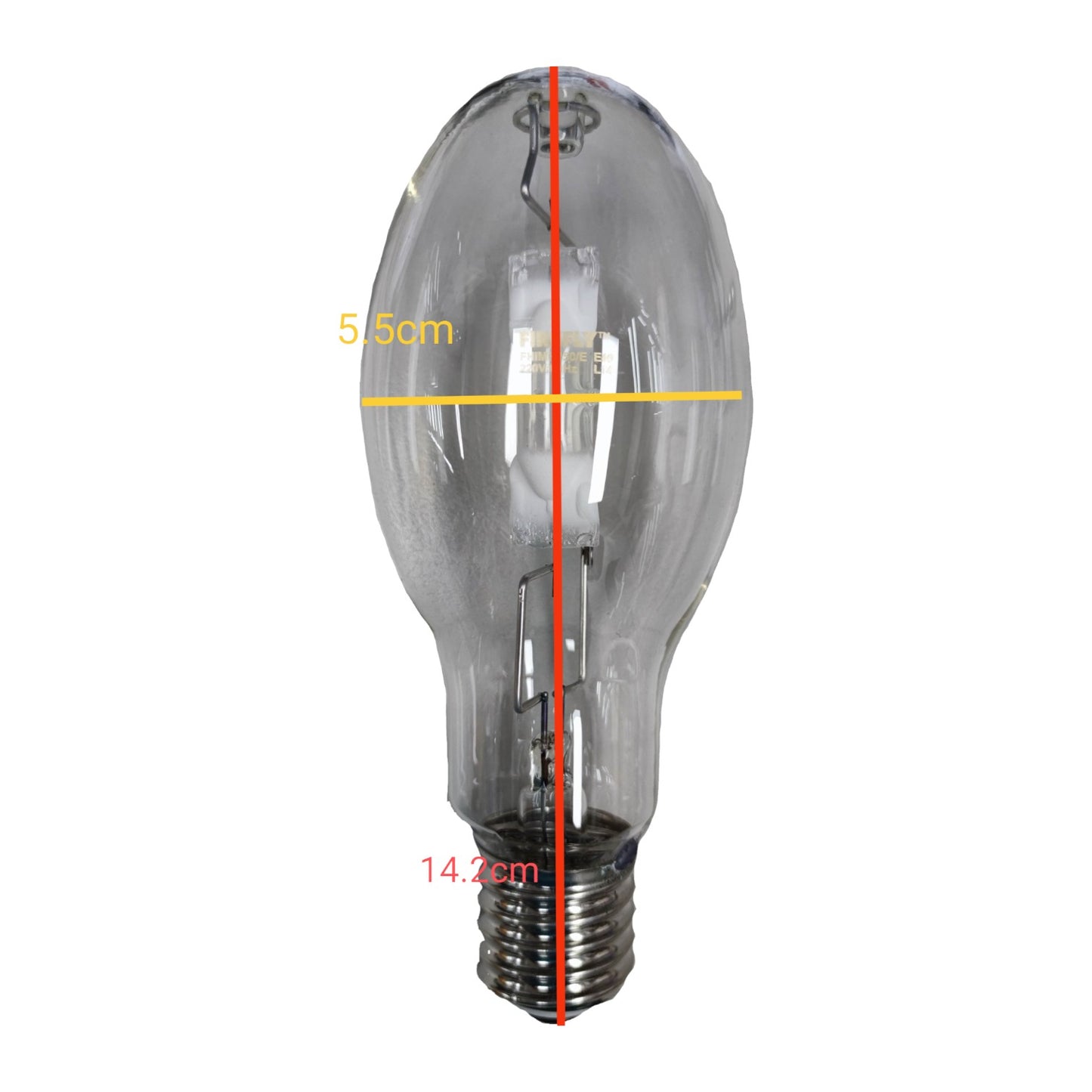 Clear light bulb with measurements on a white background