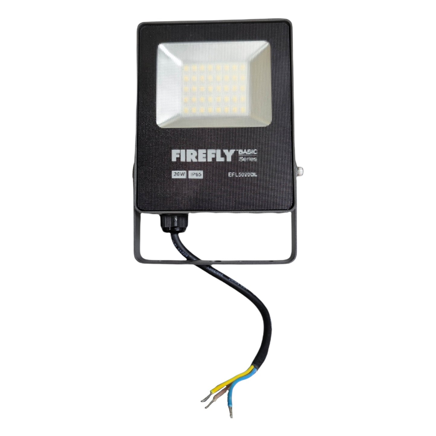 Firefly LED flood light on a white background