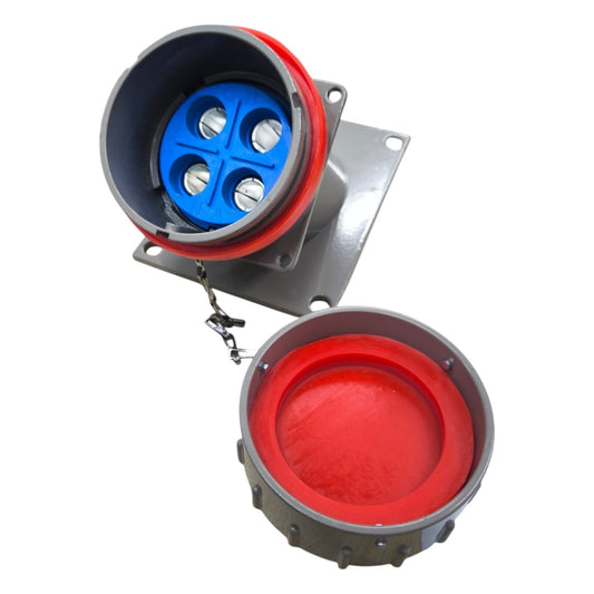 Electrical connector with red and blue interior on a white background