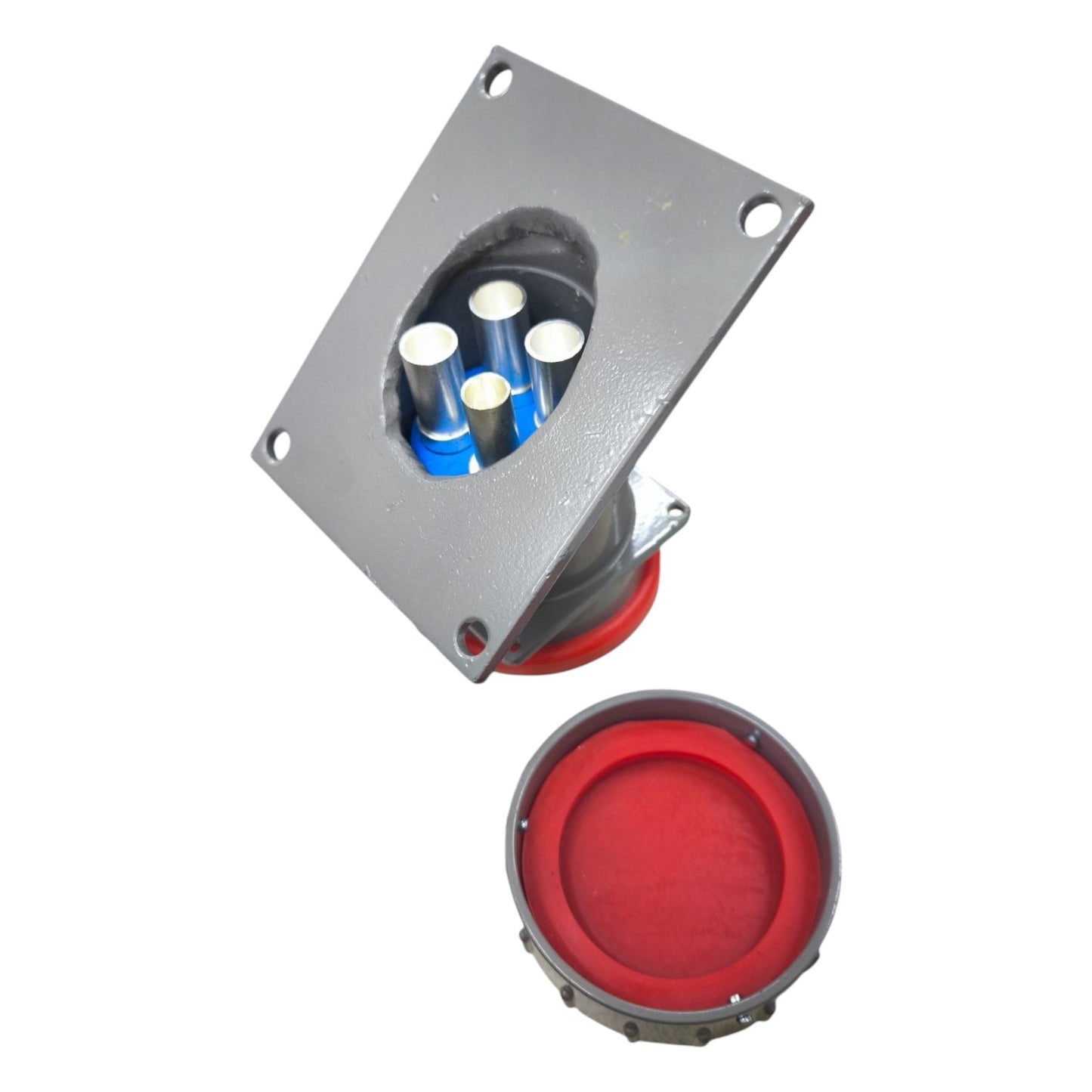 Red button and metal cover plate on a white background