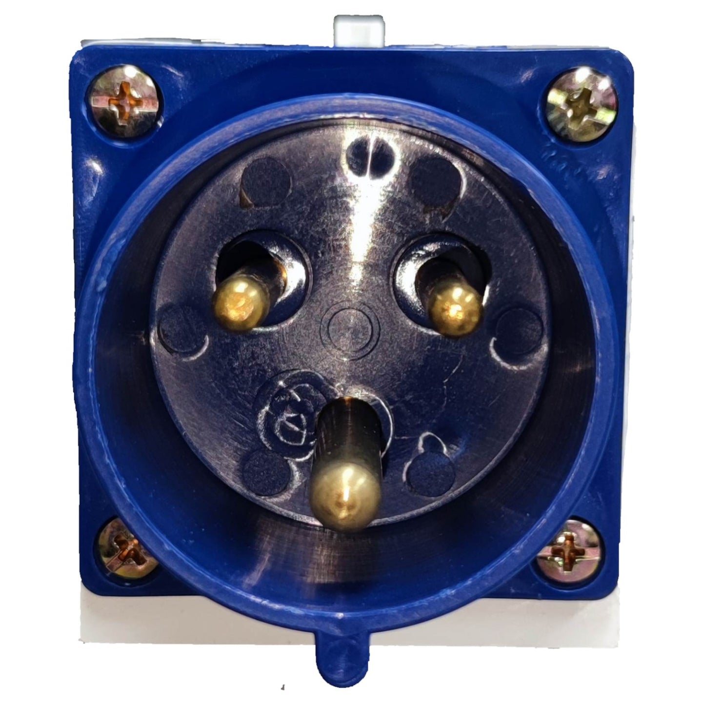 Electrical connector with blue housing and metallic contacts on a white background