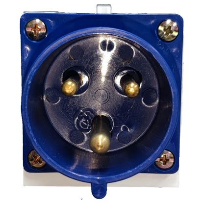 Electrical connector with blue housing and metallic contacts on a white background