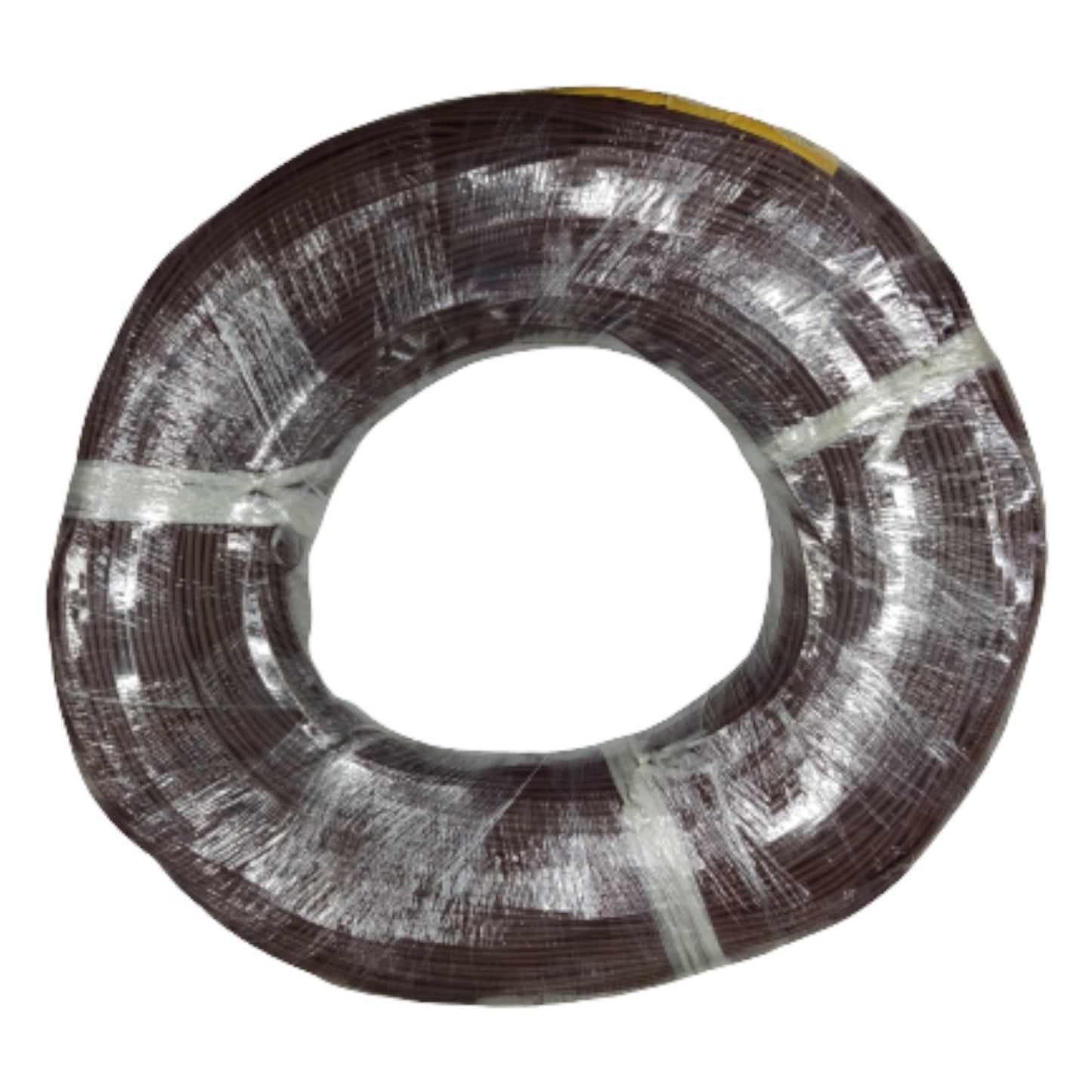 Coiled wire with a clear protective covering on a white background